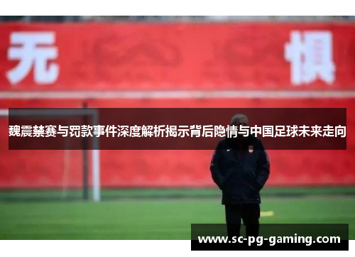 魏震禁赛与罚款事件深度解析揭示背后隐情与中国足球未来走向