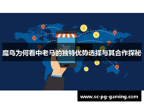 魔鸟为何看中老马的独特优势选择与其合作探秘