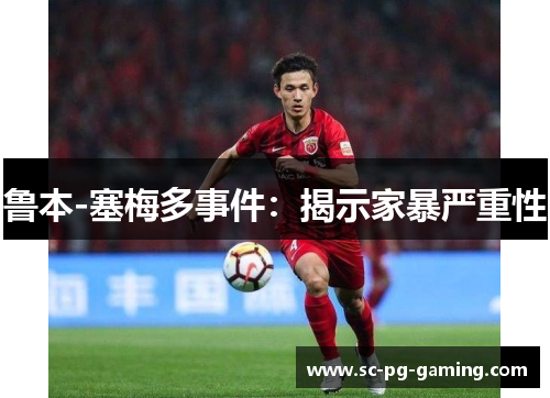 鲁本-塞梅多事件：揭示家暴严重性