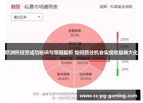 欧洲杯投资成功秘诀与策略解析 如何抓住机会实现收益最大化